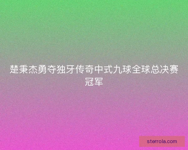 楚秉杰勇夺独牙传奇中式九球全球总决赛冠军