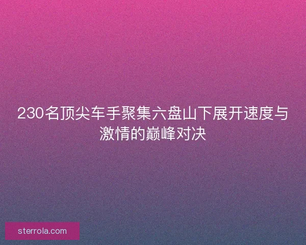 230名顶尖车手聚集六盘山下展开速度与激情的巅峰对决